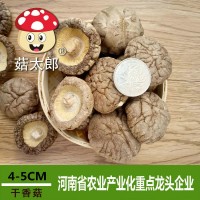 西峽干香菇大香菇干貨500g菇太郎冬菇出口歐盟農(nóng)家特產(chǎn)干香菇