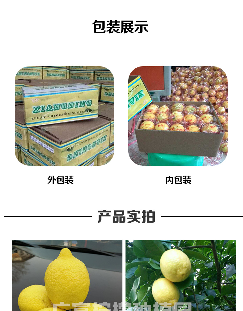一級黃檸禮盒_08