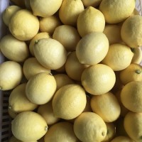 新鮮黃檸檬鮮果 水果 尤力克檸檬一級(jí)果 包裝微供代發(fā)包郵