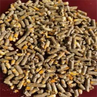 苜蓿草顆粒 草粉適用于牛馬羊家禽動(dòng)物 牧草顆粒