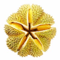 全年供應(yīng)順豐包郵泰國(guó)金枕榴蓮軟糯香甜新鮮帶殼孕婦水果一件代發(fā)