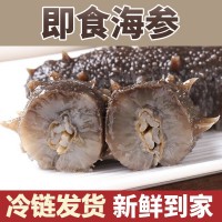 即食海參500g長島海參遼參長島純天 然野 生刺參非干貨
