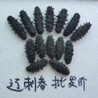 大連A級(jí)淡干海參500g克特價(jià)遼參刺參水產(chǎn)干貨1斤散裝批發(fā)工廠現(xiàn)貨