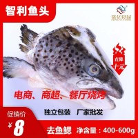 銘億三文魚頭智利進(jìn)口冷凍三文魚頭去鰓獨(dú)立包裝400-600g廠家直銷