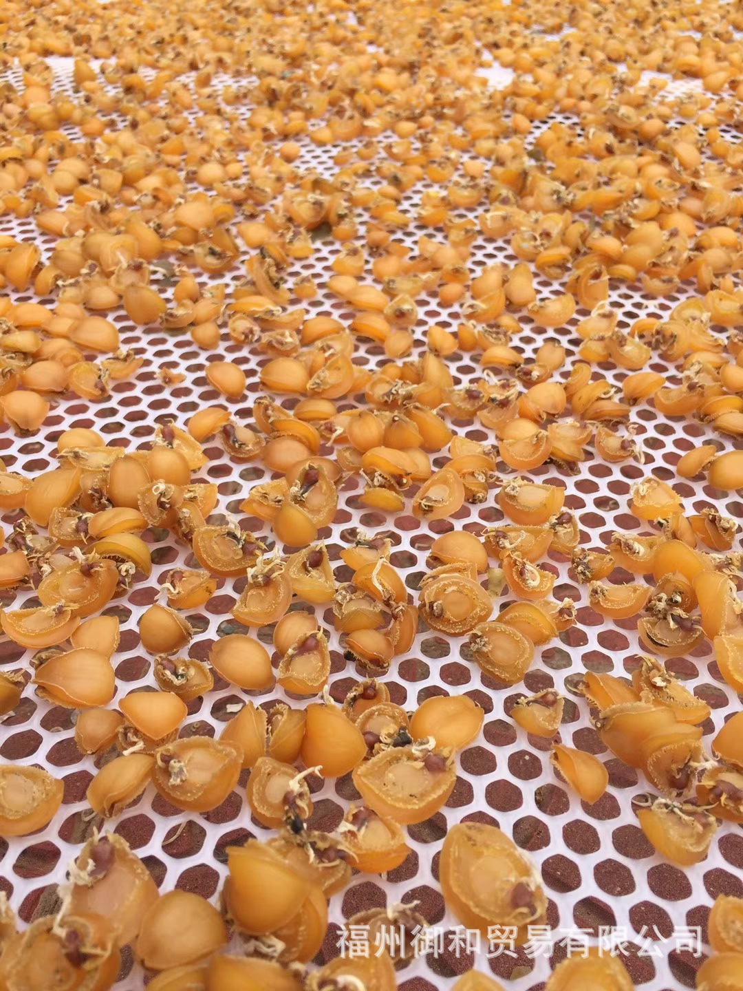 鮑魚干