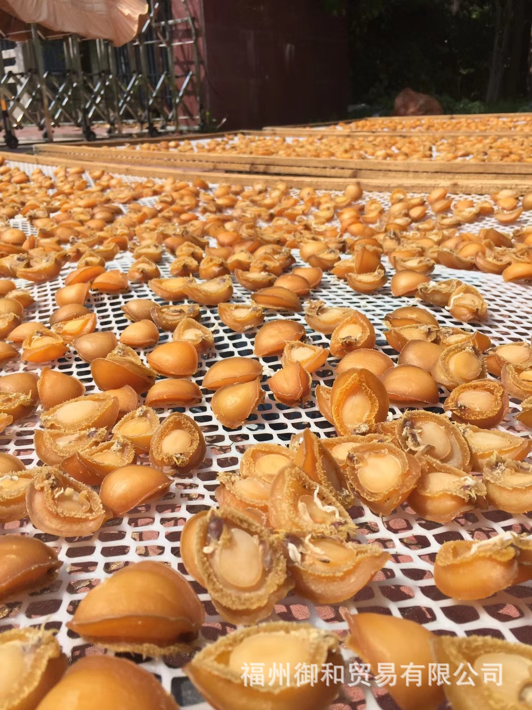 鮑魚干