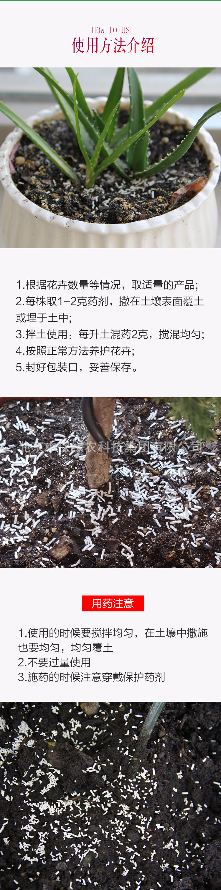 仙葩詳情_05.jpg
