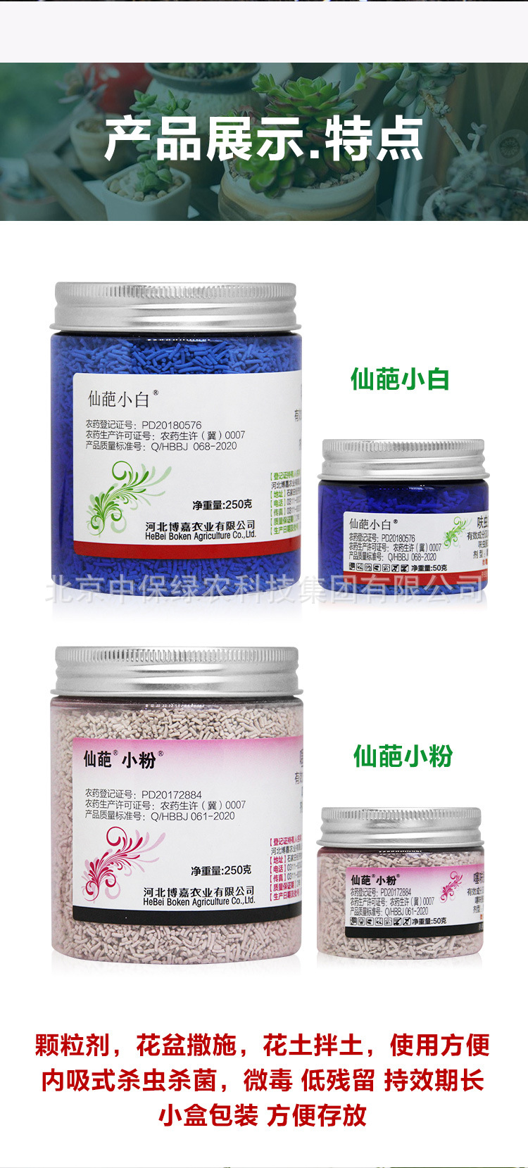 仙葩詳情_06.jpg