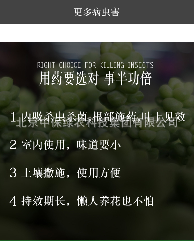 仙葩詳情_03.jpg