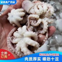 廠家供應八爪魚迷你短腿八帶魚 批發(fā)冷凍海鮮水產(chǎn)翻花八爪魚