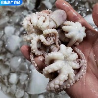 迷你小八爪 單凍三去翻花小章魚貼體章魚花 迷你小八爪魚