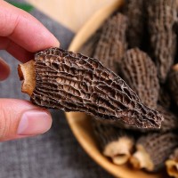 產(chǎn)地直供云南特產(chǎn)剪柄羊肚菌干貨食用菌菇煲湯年貨食材可批發(fā)代發(fā)
