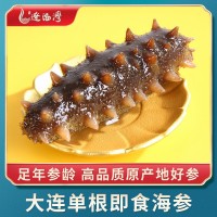 遼渤灣大連刺參即食海參鮮食批發(fā)冷凍海鮮遼參禮盒非干貨