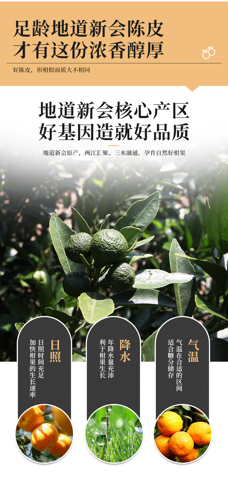詳情頁_03.jpg
