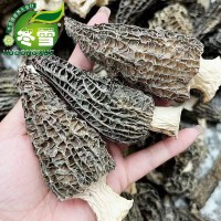 【福利款羊肚菌】大貨直批食用菌食材一件代發(fā)淘寶貨源誠招代理
