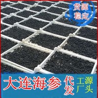 大連廠家淡干海參干貨海刺參遼參批發(fā)海參禮盒廠家一手貨源