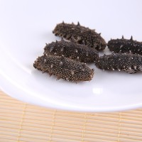 邦大海珍 50g 泡發(fā)遼刺參 干貨禮盒 散裝批 渤海灣 淡干海參 禮盒