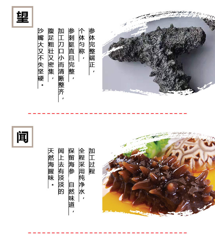 海參詳情_05-1