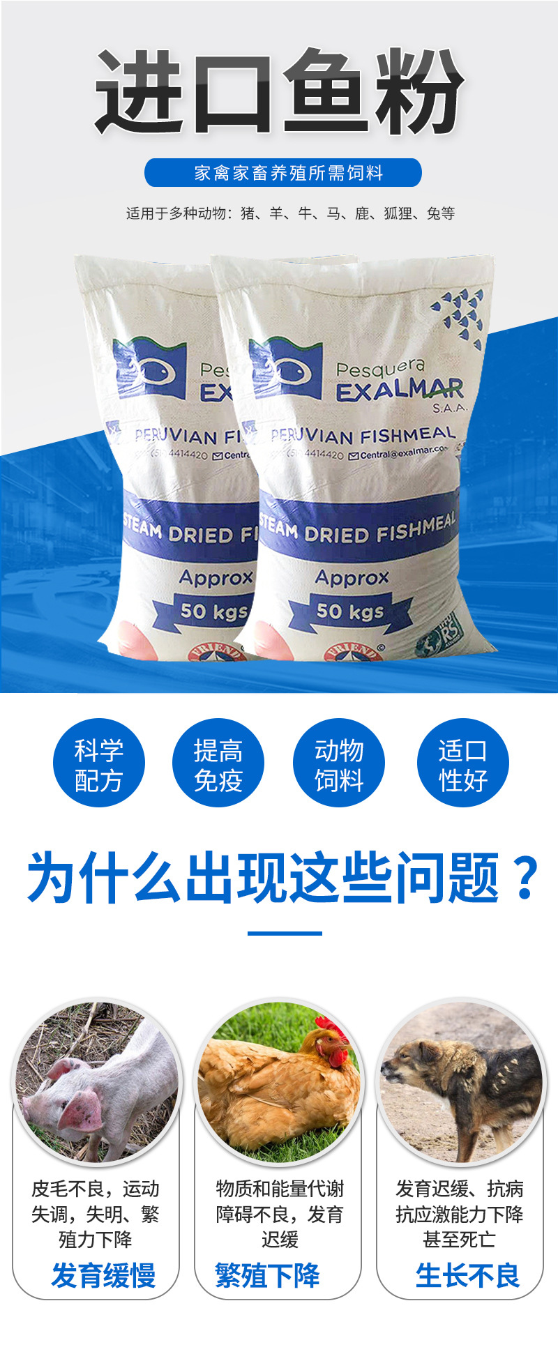 進(jìn)口證明