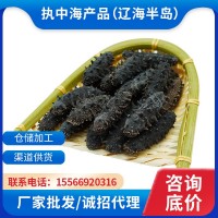大連執(zhí)中純淡干海參干工廠批發(fā)遼刺參貨源頭禮盒非即食海生