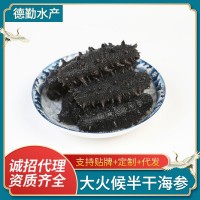 底播大火侯半干海參 大連海參干貨 非即食海參大連純淡干海參批發(fā)