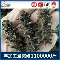 大連大火拉缸鹽半干原料批發(fā)可做國(guó)標(biāo)干貨即食海參