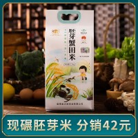 廠家批發(fā)胚芽米2.5kg 營(yíng)養(yǎng)米 留胚米新米