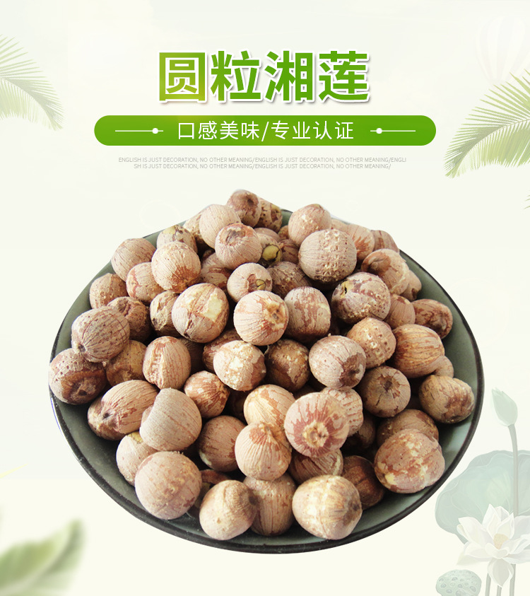 圓粒湘蓮_01.jpg