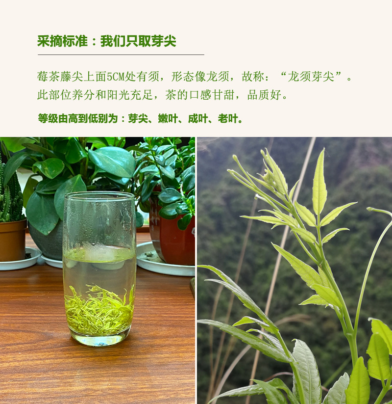 詳情五.jpg