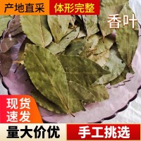 產地貨源現(xiàn)貨香葉大片月桂葉增味提香火鍋燉肉調味香辛料批發(fā)