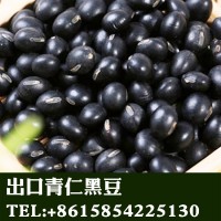 黑龍江產(chǎn)地直銷(xiāo)批發(fā)出口青仁黑豆非轉(zhuǎn)基因東北黑豆