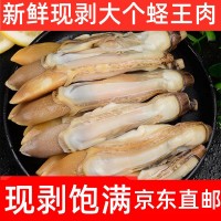 新鮮蟶王肉竹蟶肉蟶子肉現(xiàn)剝手指鮮活冷凍飽滿無冰衣抖音250g