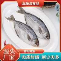 雪花鯧魚(yú) 斑點(diǎn)鯧魚(yú)海鮮凍品食品 酒店餐飲食材供應(yīng)冷凍雪花鯧