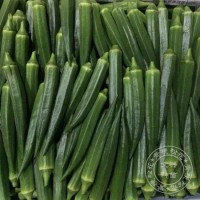 助農(nóng)二號(hào)黃秋葵種子 優(yōu)質(zhì)水果秋葵