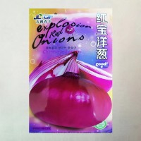 特大洋蔥種子紅皮紫皮四季高產(chǎn)早熟耐寒陽(yáng)臺(tái)盆栽蔬菜種子大全批發(fā)