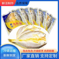 信月醇香寧德大黃魚(yú)開(kāi)背黃魚(yú)鲞新鮮深海黃花魚(yú)海鮮大黃魚(yú)廠(chǎng)家直供