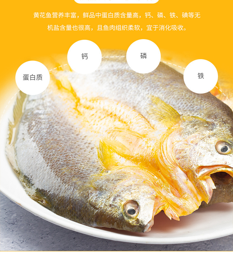 黃魚鲞_03_副本.jpg