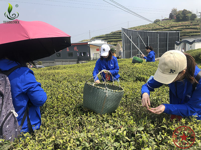 福建省安溪小志茶葉專業(yè)合作社