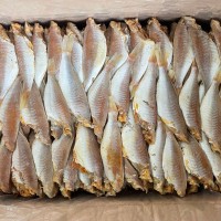 紅杉魚(yú)（一件24斤）