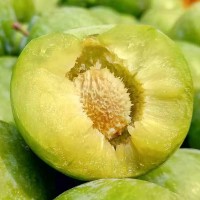 四川李子5斤現(xiàn)貨脫骨脆紅李茵紅李青脆李土李空心李脆甜廠家直銷
