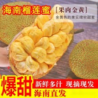 榴蓮蜜海南新鮮尖拉非海南密熱帶新鮮水果包郵批發(fā)亞馬遜獨(dú)立站