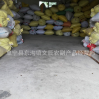 榨油菜籽批發(fā) 過篩過比重臺去雜后的凈菜籽