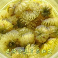 批發(fā) 散裝花草茶【胎菊王 甘菊】