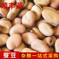 利源美味生蠶豆批發(fā) 農場甘肅農家炒貨特色蔬菜蠶豆