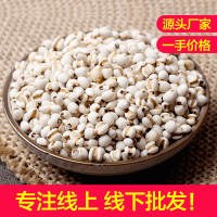 廠家生產(chǎn)顆粒飽滿自然清香薏米仁薏仁米五谷雜糧粗糧薏苡仁薏仁米