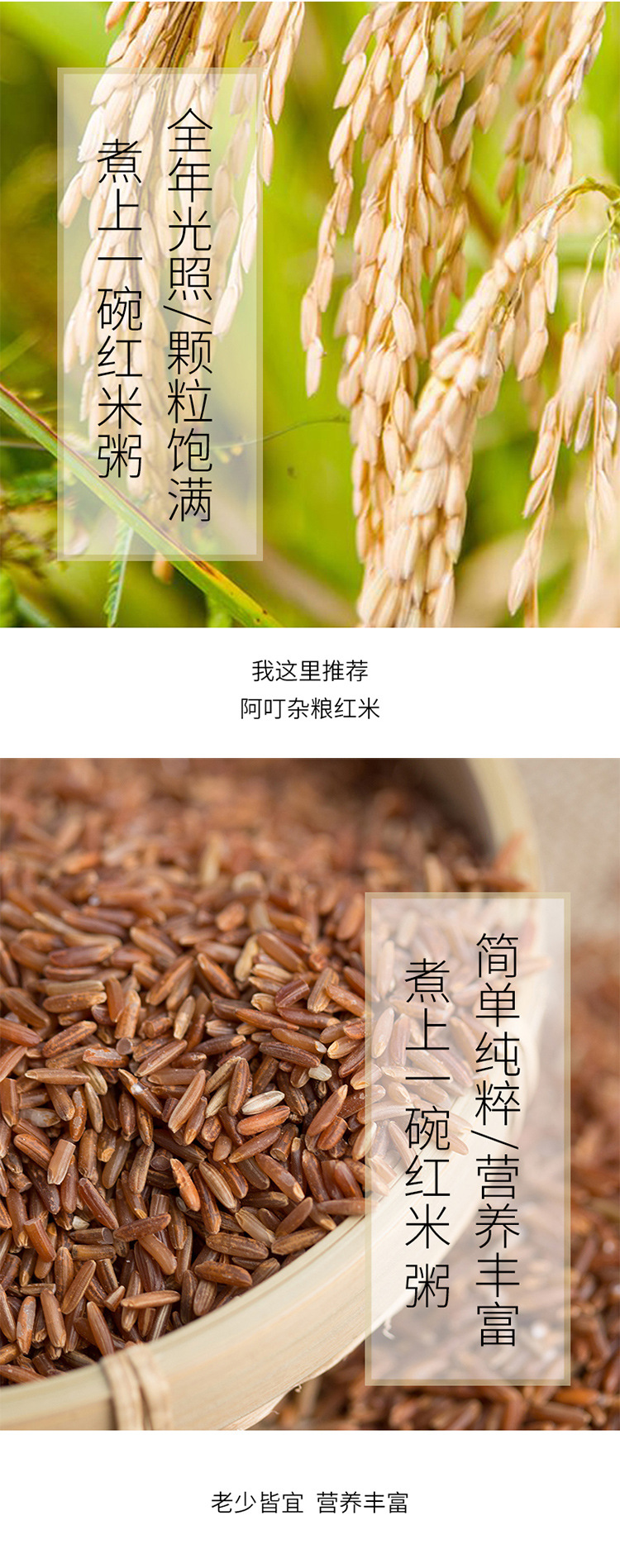 紅米_04.jpg
