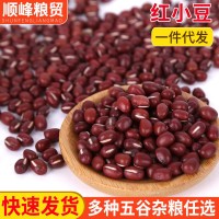 現(xiàn)貨批發(fā)紅小豆 東北大粒紅豆沙原料 五谷雜糧熬粥原料大紅豆