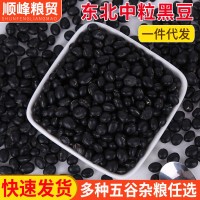 現(xiàn)貨供應(yīng)東北中粒黑豆 五谷雜糧粥料小黑豆 黃壤小黑豆量大從優(yōu)