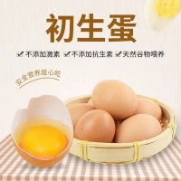 初生蛋無抗富硒新鮮雞蛋40枚12-15個(gè)1斤非柴土散養(yǎng)生食雞蛋包郵