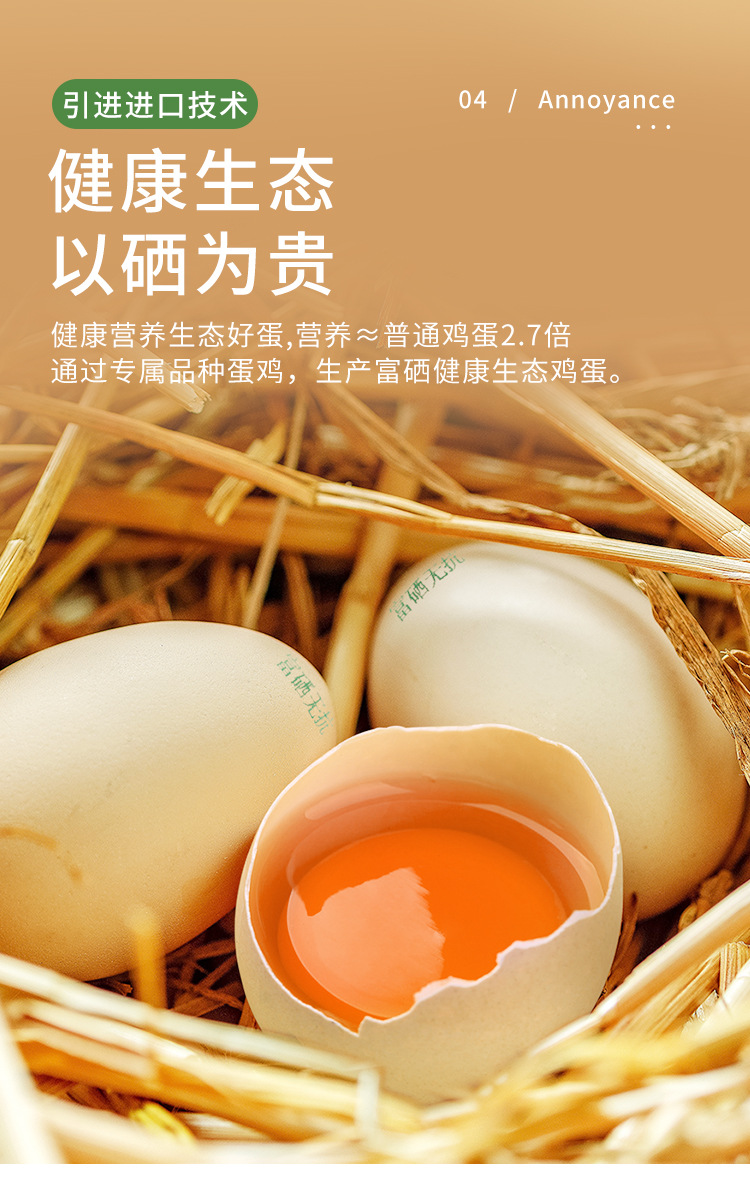 詳情 (12).jpg